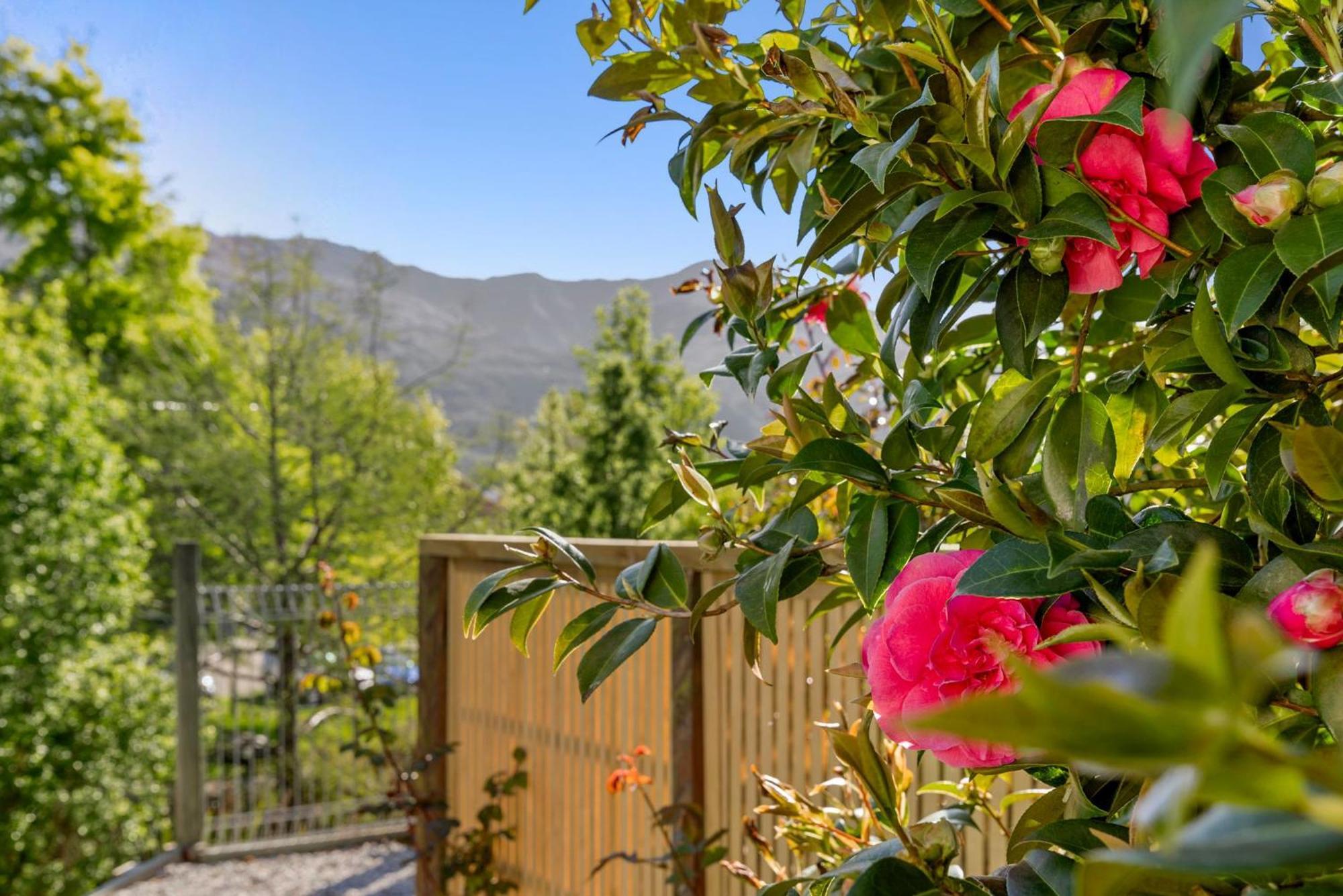 Asure Brookvale Motel Wanaka Zewnętrze zdjęcie